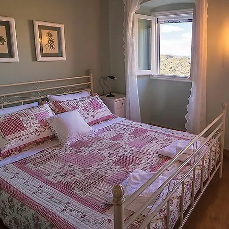 Castelli 아카라비